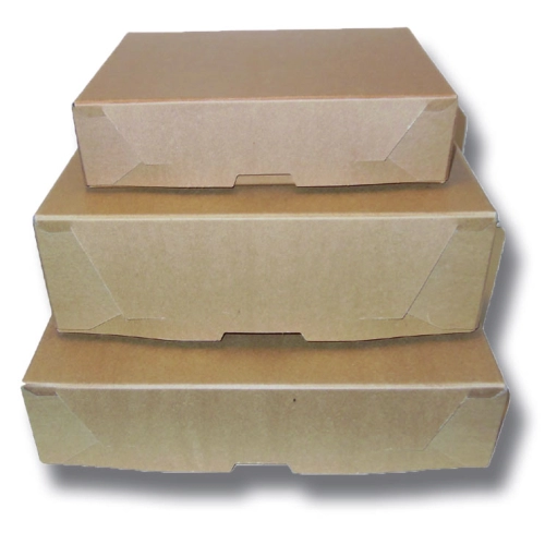CAJA PRESPHAN PLASTIFICADO 2,5cm.