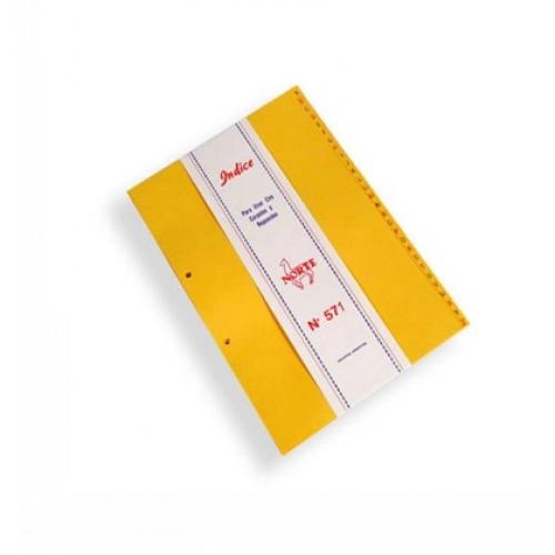 INDICE PARA CARPETA NORTE ESCOLAR 601