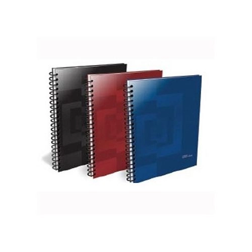 CUADERNO LEDESMA EXECUTIVE 29,7 x84h. CUADRICULADO