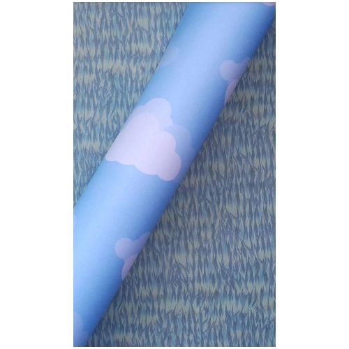 CARTULINA ALFA CIELO / PASTO 91803