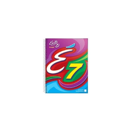 CUADERNO LEDESMA COLEGIAL 21x27 x100h.