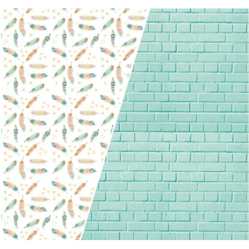 CARTULINA ALFA PARED