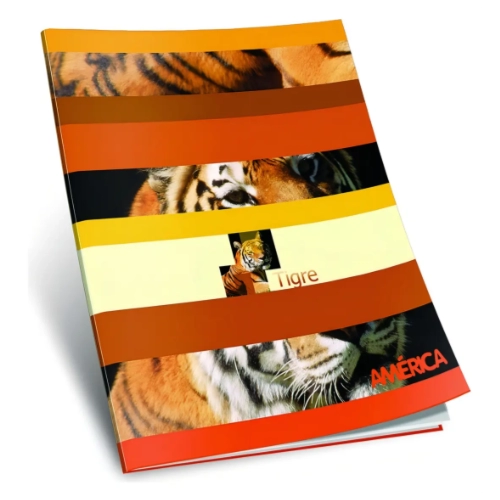 CUADERNO AMÉRICA TAPA FLEXIBLE x 24 HOJAS RAYADAS